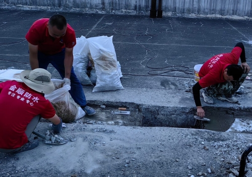 森罄香精色素科技屋面伸縮縫施工